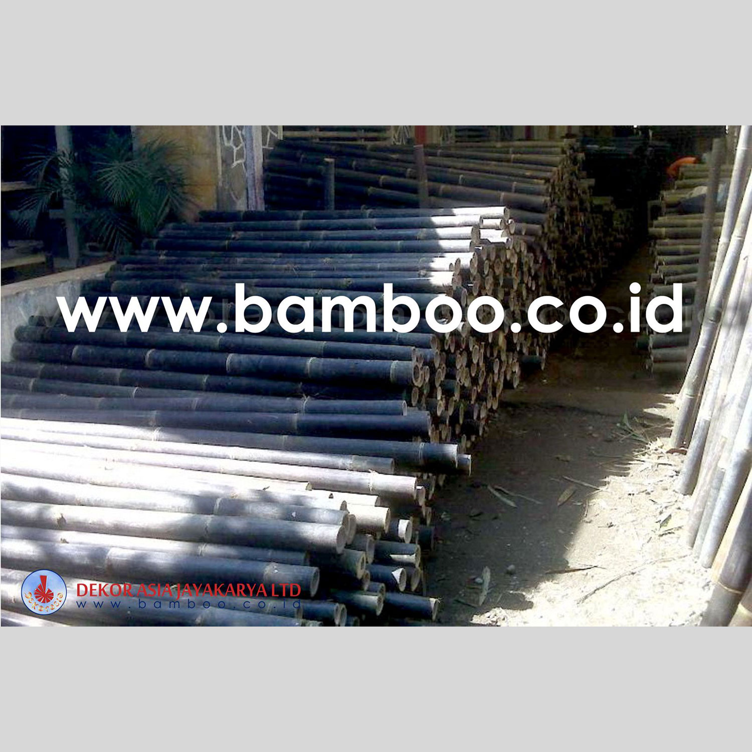 Black Bamboo Poles for Bamboo Fences and Bamboo Panels